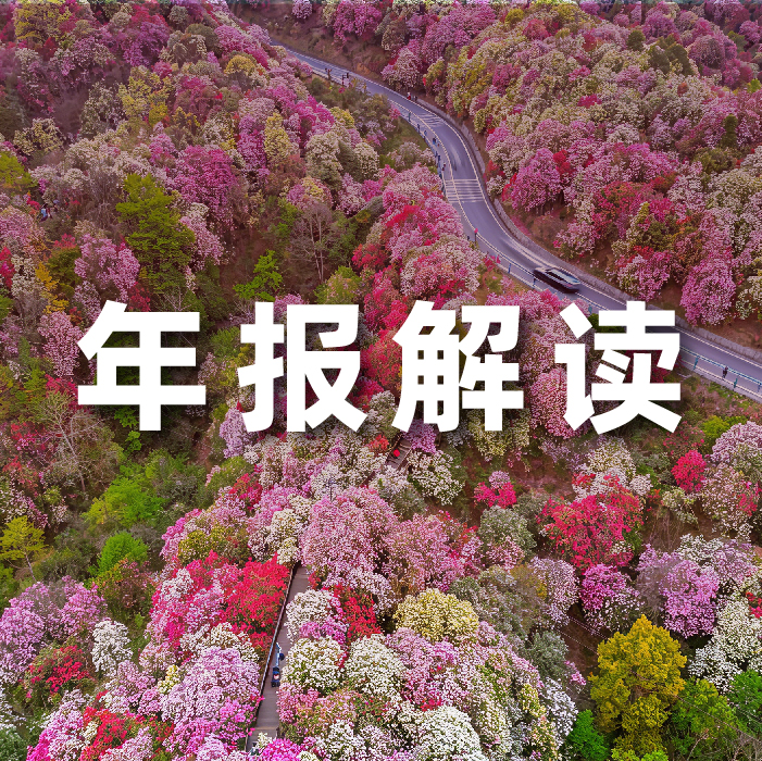 KY开元官网2025营收利润双增，全栈智能驱动增长，AI相关业务收入占比达52.6%   